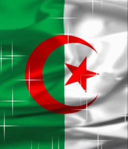 Meet your Posher, Nina